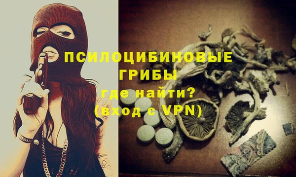 спайс Белокуриха
