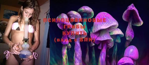 спайс Белокуриха