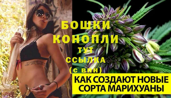 спайс Белокуриха