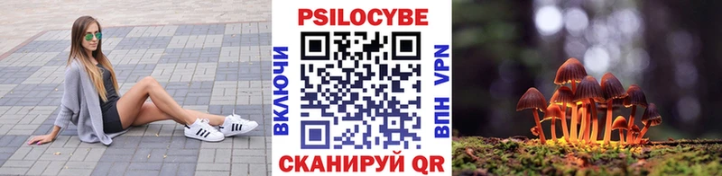 Псилоцибиновые грибы Psilocybe Буйнакск